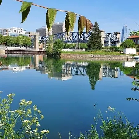 Le Surinois T2 Centre *